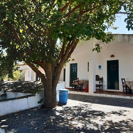 Horta Do Muro Campo Maior Zewnętrze zdjęcie