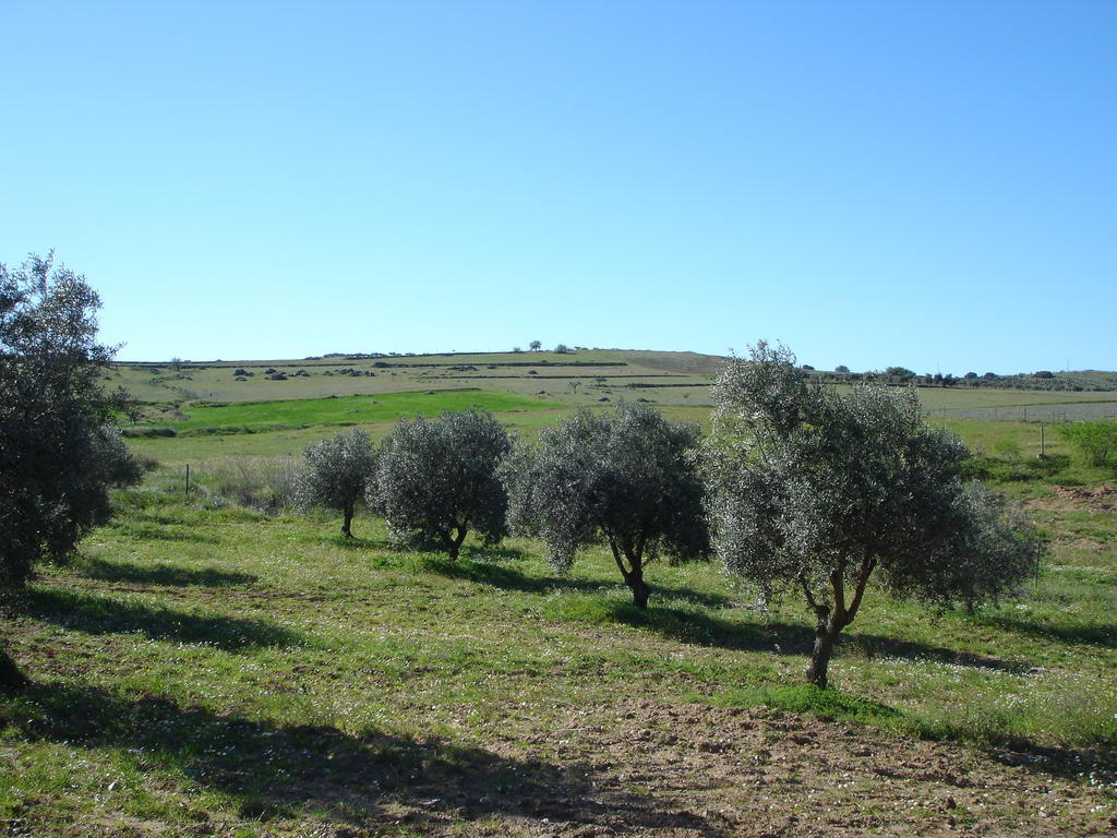 Horta Do Muro Campo Maior Zewnętrze zdjęcie